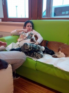 Pet Therapy - L'Allegra Cagnara