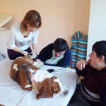 Pet Therapy - L'Allegra Cagnara