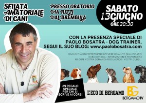 Paolo Bosatra - dog trainer