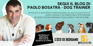 Paolo Bosatra - dog trainer