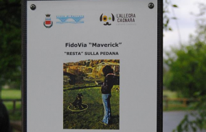 cartello-fidovia-maverick